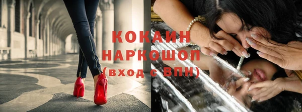 стаф Нея