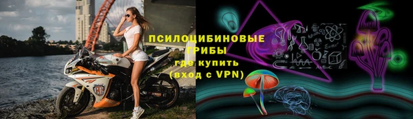 трава Нефтекумск