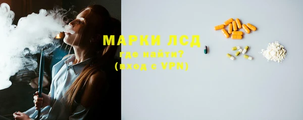 стаф Нея