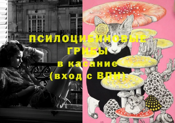стаф Нея