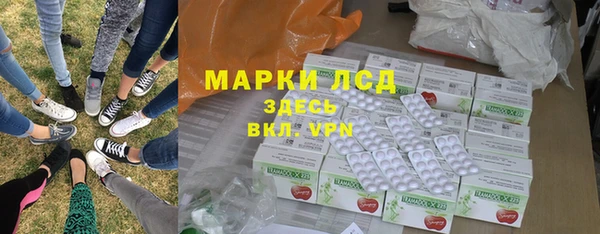 стаф Нея