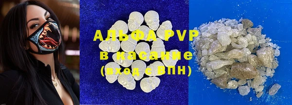 стаф Нея